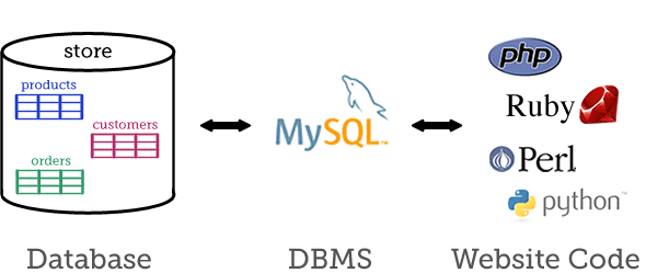 ساختار MySQL
