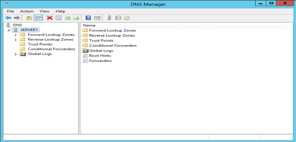 dns manager