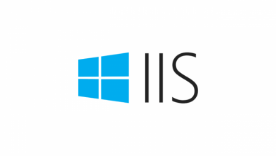 IIS