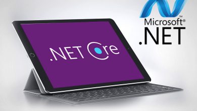 هاست asp.net core