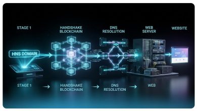 دامنه هندشیک (HNS) چیست و چگونه کار می‌کند؟